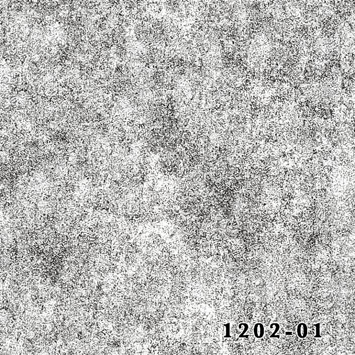 1202-01