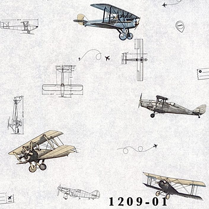 1209-01