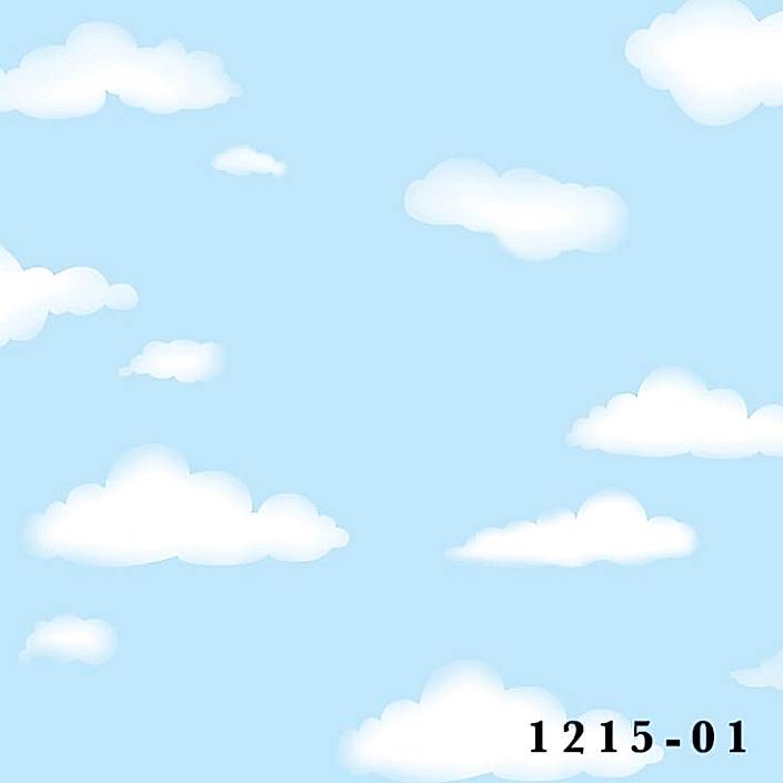 1215-01