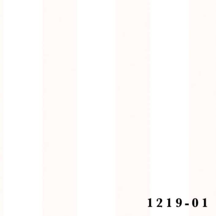 1219-01