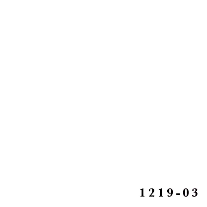 1219-03