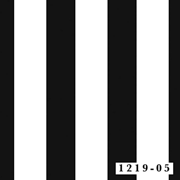 1219-05