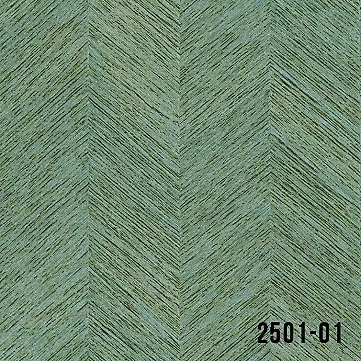 2501-01