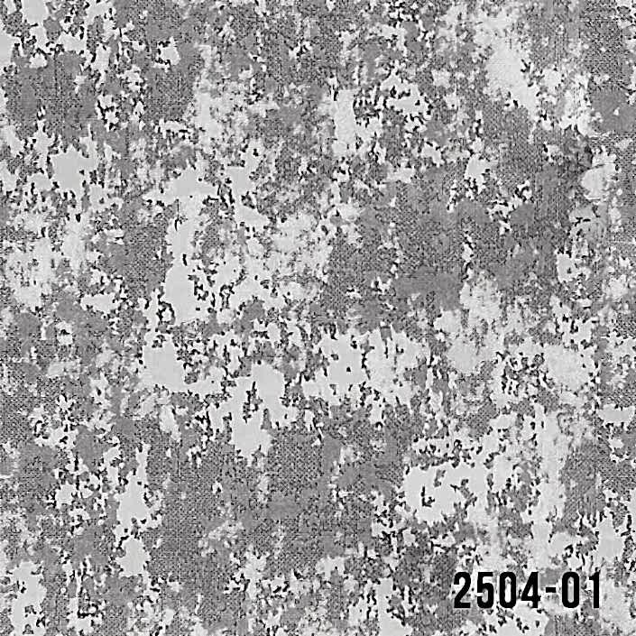 2504-01