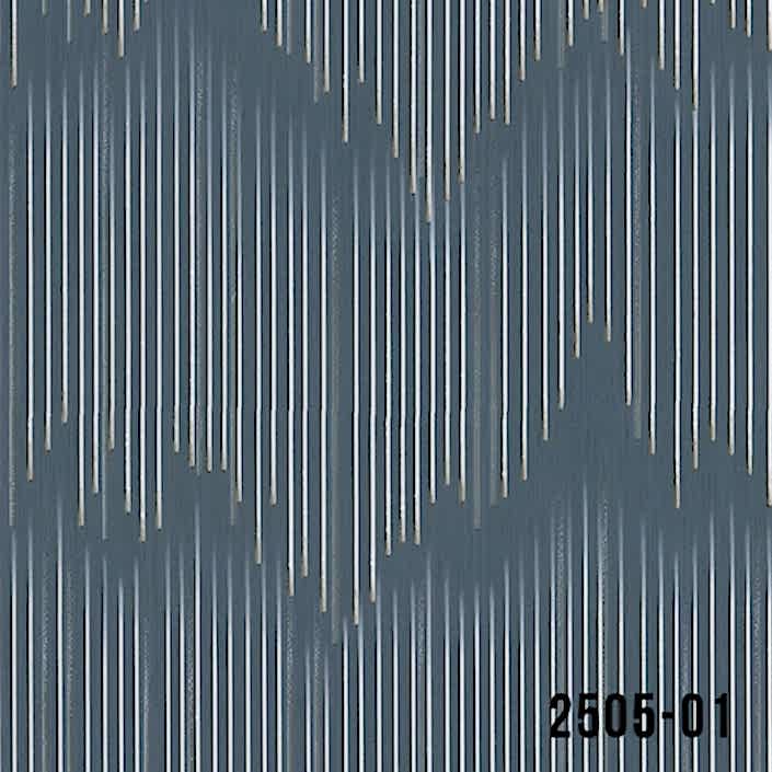 2505-01