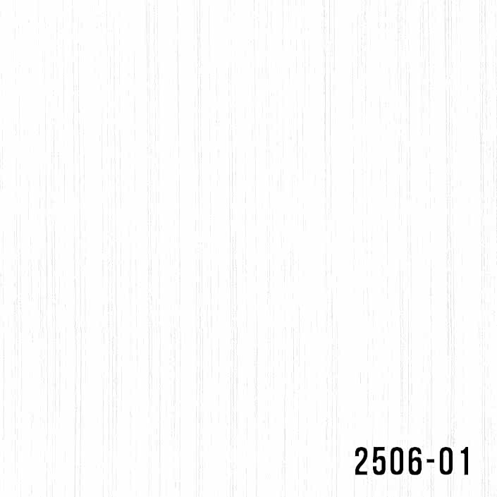 2506-01