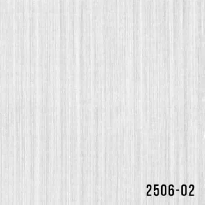 2506-02