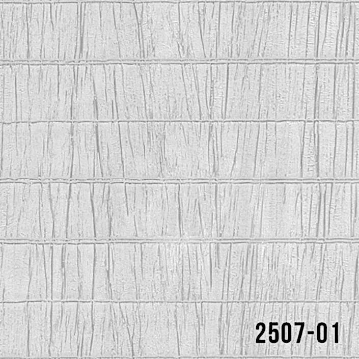 2507-01