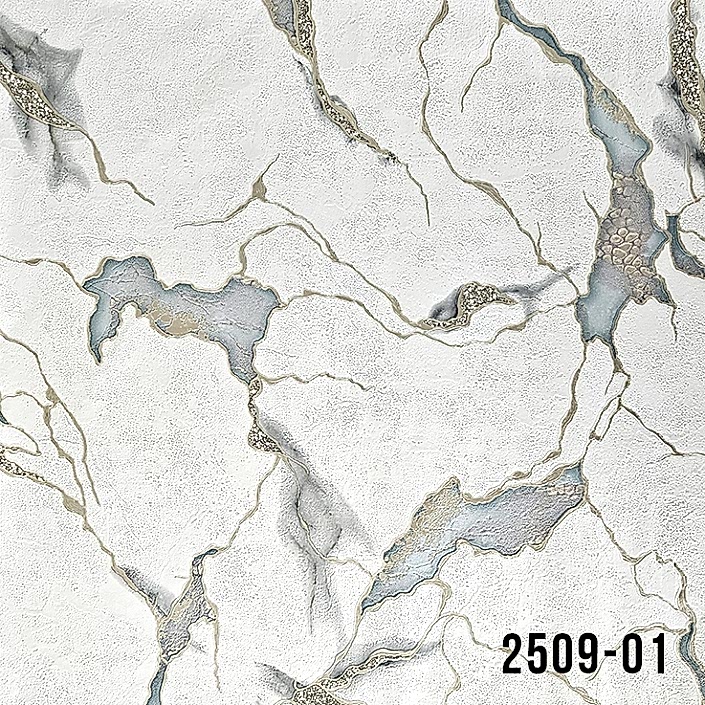 2509-01