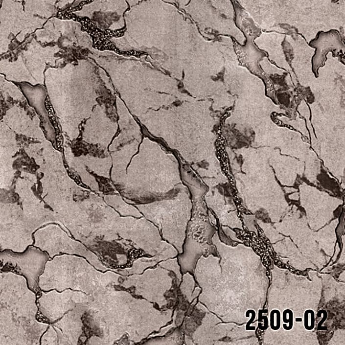 2509-02