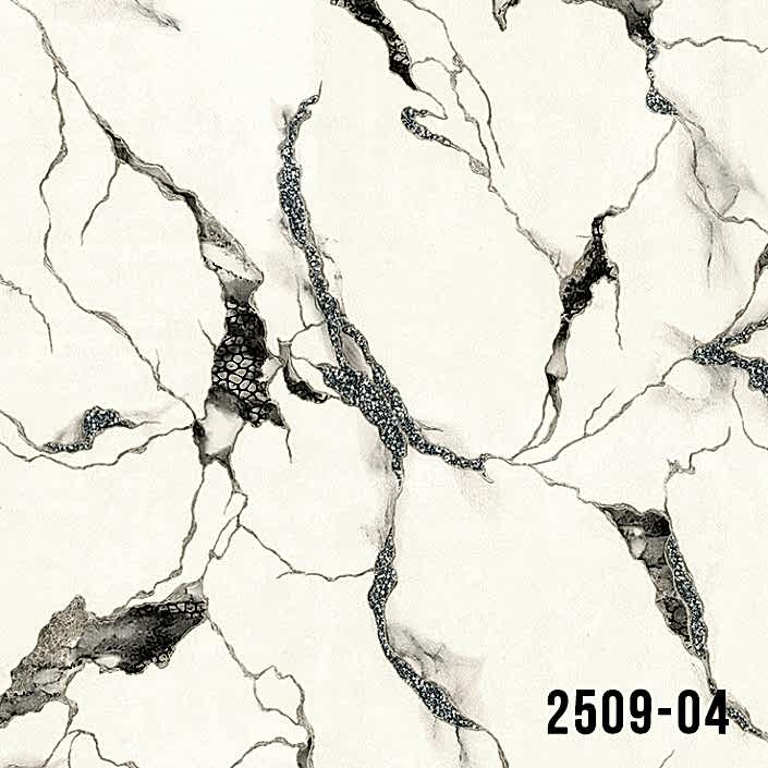2509-04