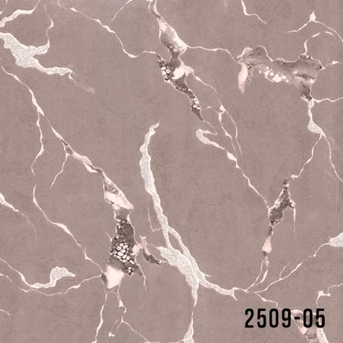 2509-05