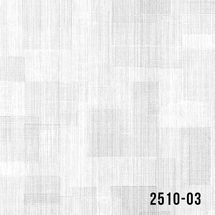 2510-03